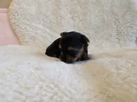 processed/421b2d94-d723-4899-9895-1fb5f29c47c1/listing/0621fdfc-2ae7-4407-895b-89b8fb0a8ac0/58479e51-ec73-41cc-92fe-ef35a59e8f56