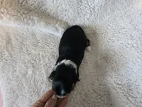 processed/421b2d94-d723-4899-9895-1fb5f29c47c1/listing/26c63b49-3fc7-4c8c-afd3-c815ca084695/11753395-534d-4990-afa2-86d61aad7d76