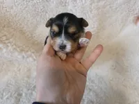 processed/421b2d94-d723-4899-9895-1fb5f29c47c1/listing/26c63b49-3fc7-4c8c-afd3-c815ca084695/7b562091-6cd9-41a3-86df-ec54b9d12c69