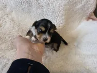 processed/421b2d94-d723-4899-9895-1fb5f29c47c1/listing/26c63b49-3fc7-4c8c-afd3-c815ca084695/c079e4b7-a7e7-4d01-bf44-7502cf2f15c2