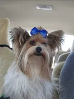 processed/421b2d94-d723-4899-9895-1fb5f29c47c1/listing/2f8ed8b9-6ffc-401f-b3be-bf6c83eedf18/0119e58d-d78b-4269-8269-1000f9681e58