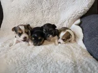 processed/421b2d94-d723-4899-9895-1fb5f29c47c1/listing/59be1b63-a1fc-4c3d-886b-f38cd2cb6ec8/050260bb-b271-46ea-94b7-c1cbcfe704c1