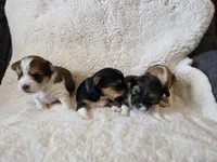 processed/421b2d94-d723-4899-9895-1fb5f29c47c1/listing/59be1b63-a1fc-4c3d-886b-f38cd2cb6ec8/1565b997-a7c6-4897-aece-414d1589ad07