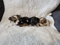 processed/421b2d94-d723-4899-9895-1fb5f29c47c1/listing/59be1b63-a1fc-4c3d-886b-f38cd2cb6ec8/6c18dc30-8657-452f-9500-b8fa30e7ec9a