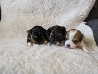 processed/421b2d94-d723-4899-9895-1fb5f29c47c1/listing/59be1b63-a1fc-4c3d-886b-f38cd2cb6ec8/8d373618-fe9c-4930-805b-6c17dfb07a7b