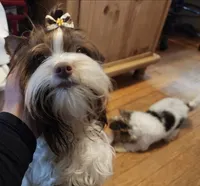 processed/421b2d94-d723-4899-9895-1fb5f29c47c1/listing/6f4161a5-3454-434c-8059-730d12e9dbff/74eea24d-01a4-4e85-a1e7-440c7c71d6e4