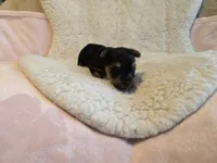 processed/421b2d94-d723-4899-9895-1fb5f29c47c1/listing/6f4161a5-3454-434c-8059-730d12e9dbff/e2c22952-90dd-4f68-8ada-83afc4702dcd