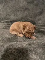 processed/421ecd67-d5e6-4820-9a02-cf831a5af9bb/listing/640b9326-2580-4ff9-b28c-143749dba795/2ba22dd3-0f63-4eff-a2b5-e8077b793e89