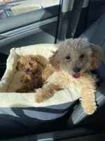 processed/421ecd67-d5e6-4820-9a02-cf831a5af9bb/listing/640b9326-2580-4ff9-b28c-143749dba795/45829415-e99e-4b28-be74-adfb99d71eda