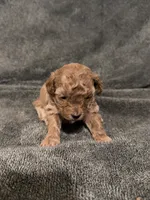 processed/421ecd67-d5e6-4820-9a02-cf831a5af9bb/listing/640b9326-2580-4ff9-b28c-143749dba795/4ad576d9-0ca4-444d-8967-29b0f03dccfd