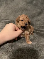 processed/421ecd67-d5e6-4820-9a02-cf831a5af9bb/listing/640b9326-2580-4ff9-b28c-143749dba795/8877801b-cb14-4f0d-a616-686313482803