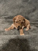 processed/421ecd67-d5e6-4820-9a02-cf831a5af9bb/listing/640b9326-2580-4ff9-b28c-143749dba795/8a29a787-06d1-4a9f-984e-28c741527b08