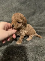 processed/421ecd67-d5e6-4820-9a02-cf831a5af9bb/listing/640b9326-2580-4ff9-b28c-143749dba795/b6f79e64-3dc0-4177-81c1-3a4891fe0736