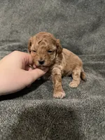 processed/421ecd67-d5e6-4820-9a02-cf831a5af9bb/listing/640b9326-2580-4ff9-b28c-143749dba795/c35e5c19-8955-463f-96e5-98dbcbfe4e6d