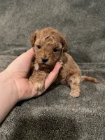 processed/421ecd67-d5e6-4820-9a02-cf831a5af9bb/listing/640b9326-2580-4ff9-b28c-143749dba795/f3e30e85-58e4-4ffc-8070-993975cf3883