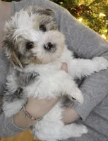 processed/42232237-13c3-4f73-9c5c-3c3fc3455c94/listing/1c3e7021-3e5e-4418-bd90-0d155b4f4e30/3e7c41a2-24f3-442b-9586-91c152783a47