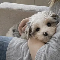 processed/42232237-13c3-4f73-9c5c-3c3fc3455c94/listing/1c3e7021-3e5e-4418-bd90-0d155b4f4e30/53b07e2d-d379-429a-8673-d62ca905b03b