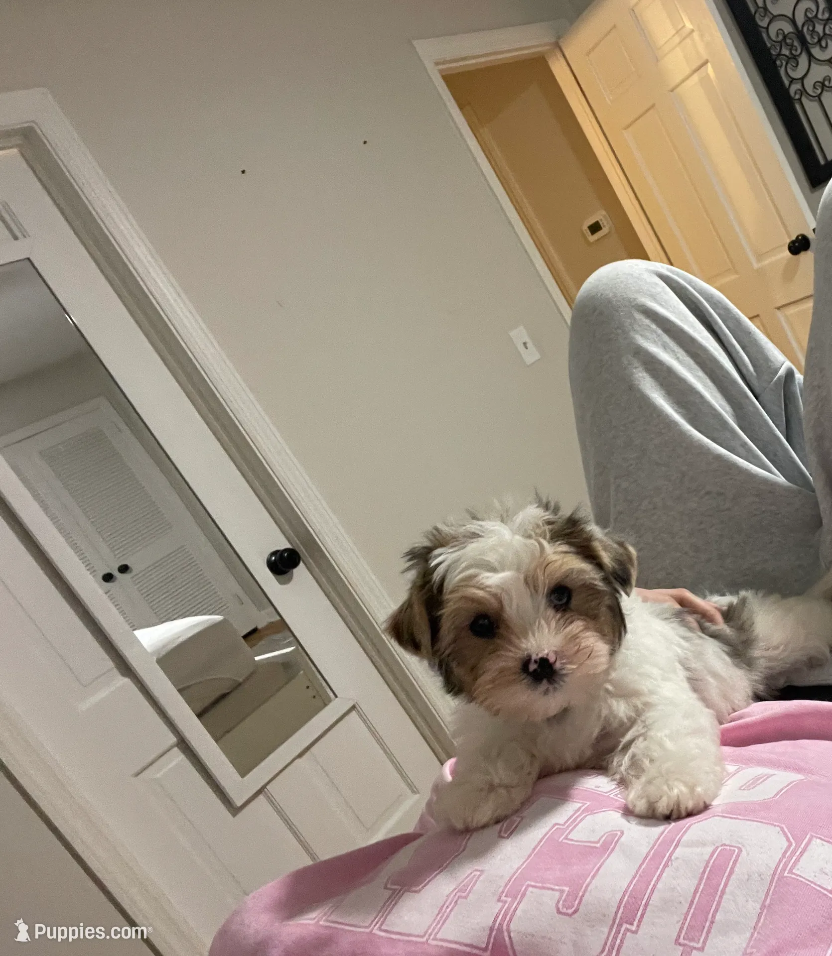 processed/42232237-13c3-4f73-9c5c-3c3fc3455c94/listing/1c3e7021-3e5e-4418-bd90-0d155b4f4e30/9746e7fc-7551-43e1-9b75-8aaf45c1b77f