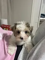 processed/42232237-13c3-4f73-9c5c-3c3fc3455c94/listing/1c3e7021-3e5e-4418-bd90-0d155b4f4e30/afc6d235-3292-478a-96b5-1f6f54120b42