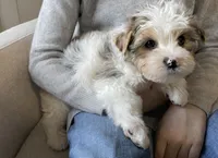 processed/42232237-13c3-4f73-9c5c-3c3fc3455c94/listing/1c3e7021-3e5e-4418-bd90-0d155b4f4e30/efbead2b-6f1a-4de7-8a2f-826d3d4d9a93