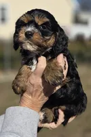 processed/4225b722-1744-42f6-a220-e15c21cf2cdd/listing/0b710cf1-48d7-4f90-9406-40d483c81df3/1ee25d31-b344-453f-869c-e40933cb9f3d