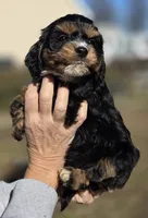 processed/4225b722-1744-42f6-a220-e15c21cf2cdd/listing/0b710cf1-48d7-4f90-9406-40d483c81df3/1fe4c07a-5786-47a8-bfd9-e5f44c86dca7