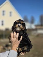 processed/4225b722-1744-42f6-a220-e15c21cf2cdd/listing/0b710cf1-48d7-4f90-9406-40d483c81df3/40a66535-2506-48a6-b309-ae093c3699df