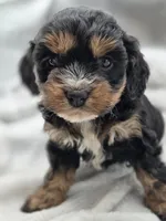 processed/4225b722-1744-42f6-a220-e15c21cf2cdd/listing/0b710cf1-48d7-4f90-9406-40d483c81df3/49237765-0c9a-4912-99ea-e2d32322499e