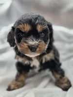 processed/4225b722-1744-42f6-a220-e15c21cf2cdd/listing/0b710cf1-48d7-4f90-9406-40d483c81df3/63c94cb7-3e7c-4325-8ca8-107ac8687eae