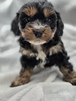 processed/4225b722-1744-42f6-a220-e15c21cf2cdd/listing/0b710cf1-48d7-4f90-9406-40d483c81df3/7d0baee8-91c2-4681-91f7-9adbe9d5c331