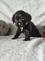 processed/4225b722-1744-42f6-a220-e15c21cf2cdd/listing/10d4c8d5-2396-4579-a808-b89d215df2cc/28926e6c-75a3-417b-afd4-aa5232f9d4d5