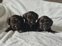 processed/4225b722-1744-42f6-a220-e15c21cf2cdd/listing/10d4c8d5-2396-4579-a808-b89d215df2cc/5691a296-f7de-4f04-af90-8630ec5bfc98