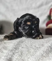 processed/4225b722-1744-42f6-a220-e15c21cf2cdd/listing/3aabdf10-5714-4575-ab04-f501ccad984a/27b98949-cc79-46e7-86d7-5aeae499e205