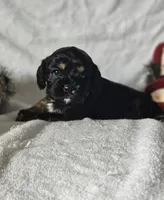 processed/4225b722-1744-42f6-a220-e15c21cf2cdd/listing/3aabdf10-5714-4575-ab04-f501ccad984a/6bafc5cf-980b-497a-ad69-34cd11b3b738