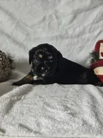 processed/4225b722-1744-42f6-a220-e15c21cf2cdd/listing/3aabdf10-5714-4575-ab04-f501ccad984a/712f90df-b37b-4cf9-9703-b1168ea78b45