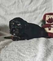 processed/4225b722-1744-42f6-a220-e15c21cf2cdd/listing/3aabdf10-5714-4575-ab04-f501ccad984a/ea169d48-de3e-43e7-b4a8-e01f78ce36aa