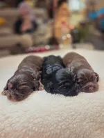 processed/4225b722-1744-42f6-a220-e15c21cf2cdd/listing/3aabdf10-5714-4575-ab04-f501ccad984a/ec772f2a-329d-4828-934a-0ff7c00289f1