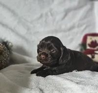 processed/4225b722-1744-42f6-a220-e15c21cf2cdd/listing/54b0a81b-9025-46bc-9d5f-c7288d71be1a/3e31dd89-2a99-4bf9-bc4c-28be5c07fc0b