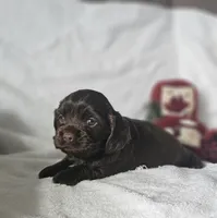 processed/4225b722-1744-42f6-a220-e15c21cf2cdd/listing/54b0a81b-9025-46bc-9d5f-c7288d71be1a/5f9d5133-ecb6-4bf4-b08f-22373570365c