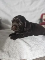 processed/4225b722-1744-42f6-a220-e15c21cf2cdd/listing/54b0a81b-9025-46bc-9d5f-c7288d71be1a/6276cab4-c851-46cd-ab76-80422fce8f63