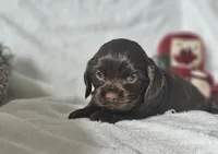 processed/4225b722-1744-42f6-a220-e15c21cf2cdd/listing/54b0a81b-9025-46bc-9d5f-c7288d71be1a/9dc10bc2-cd5d-4d63-9048-2be00193725b