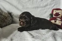 processed/4225b722-1744-42f6-a220-e15c21cf2cdd/listing/54b0a81b-9025-46bc-9d5f-c7288d71be1a/e690829f-8a0e-40fe-8909-cb31f022958b