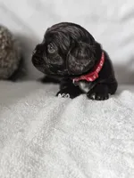 processed/4225b722-1744-42f6-a220-e15c21cf2cdd/listing/5a4675ed-a3db-499b-abf1-b9c57a3458b5/1822693d-7b66-4cda-9162-3d2f36596ce4