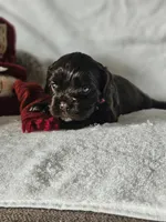 processed/4225b722-1744-42f6-a220-e15c21cf2cdd/listing/5a4675ed-a3db-499b-abf1-b9c57a3458b5/1c5ba2ef-6c27-47fd-99ae-1fe61aabe256