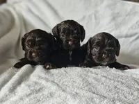 processed/4225b722-1744-42f6-a220-e15c21cf2cdd/listing/5a4675ed-a3db-499b-abf1-b9c57a3458b5/7d3dc2de-f0c6-4f45-9fac-372ebe118b02