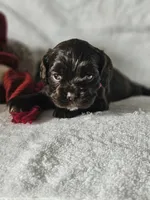 processed/4225b722-1744-42f6-a220-e15c21cf2cdd/listing/5a4675ed-a3db-499b-abf1-b9c57a3458b5/fe71147b-b61c-4121-9bc7-0fba09db24b0