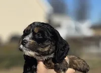 processed/4225b722-1744-42f6-a220-e15c21cf2cdd/listing/7ddfb4da-9af9-400c-92eb-f4cf1ad51754/01438ae2-6dd3-41d6-b1cb-3fdadeb18da1