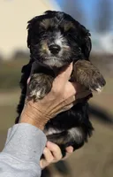 processed/4225b722-1744-42f6-a220-e15c21cf2cdd/listing/7ddfb4da-9af9-400c-92eb-f4cf1ad51754/199b8955-848f-4b8f-890c-348e9d082eb5