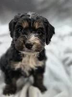 processed/4225b722-1744-42f6-a220-e15c21cf2cdd/listing/7ddfb4da-9af9-400c-92eb-f4cf1ad51754/2374dabb-2549-4ff1-aa20-36e438143140