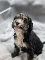 processed/4225b722-1744-42f6-a220-e15c21cf2cdd/listing/7ddfb4da-9af9-400c-92eb-f4cf1ad51754/2ce56fe8-50ec-491b-96d5-9ad5b91a0c19